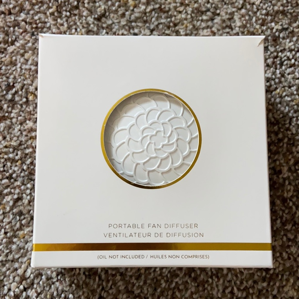 Portable fan diffuser